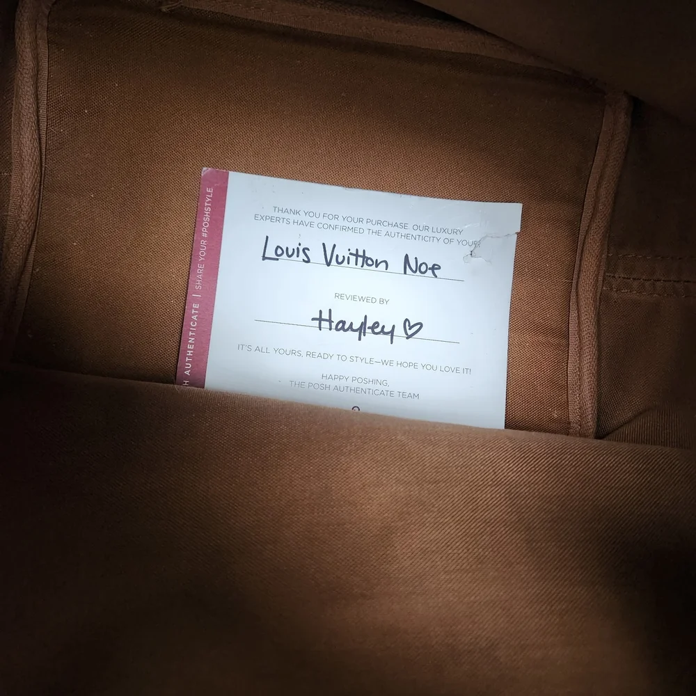 Louis Vuitton Monogram Brown Bucket Bag - Picture 4 of 14